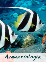 Acquariologia